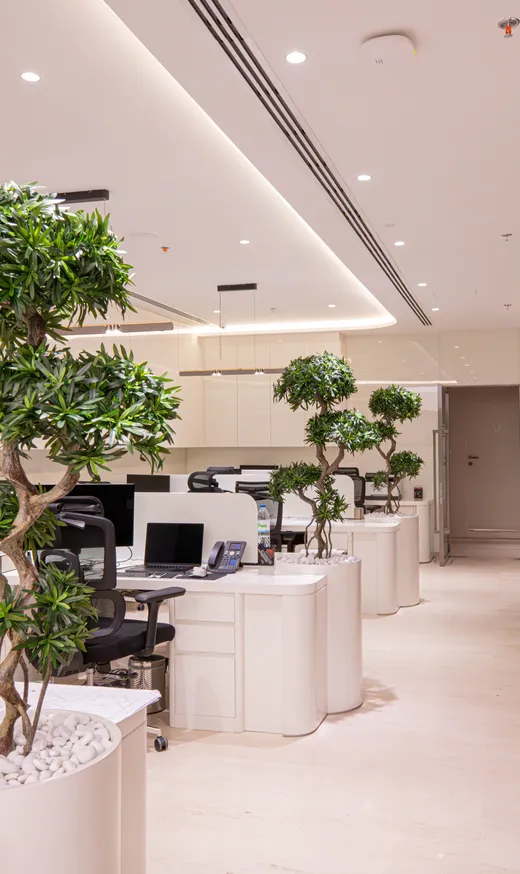Amis Sales Center