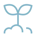 Strong capital appreciation?